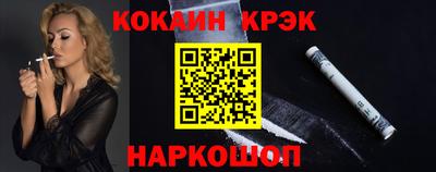 гашик Кингисепп