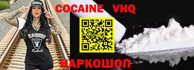 гашик Кингисепп