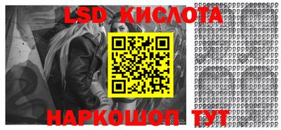 гашик Кингисепп