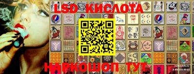 гашик Кингисепп