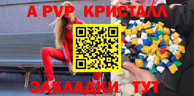 гашик Кингисепп