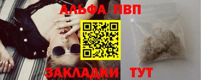 гашик Кингисепп