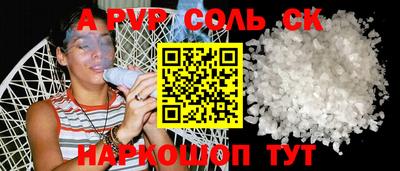 гашик Кингисепп
