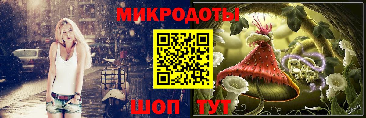 Псилоцибиновые грибы Psilocybine cubensis Углич